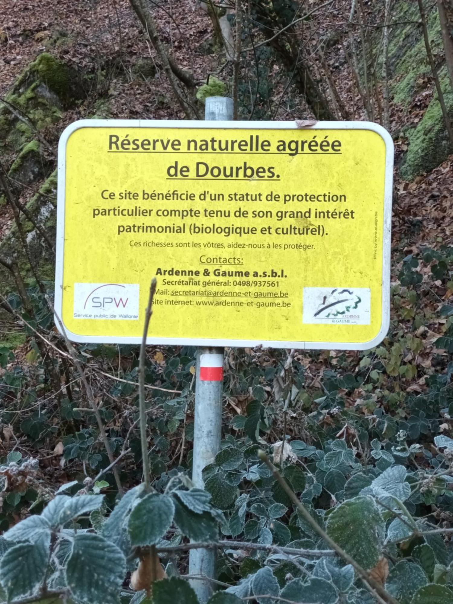 Les Gabelous - Chambre d'hôtes Dourbes Exterior foto