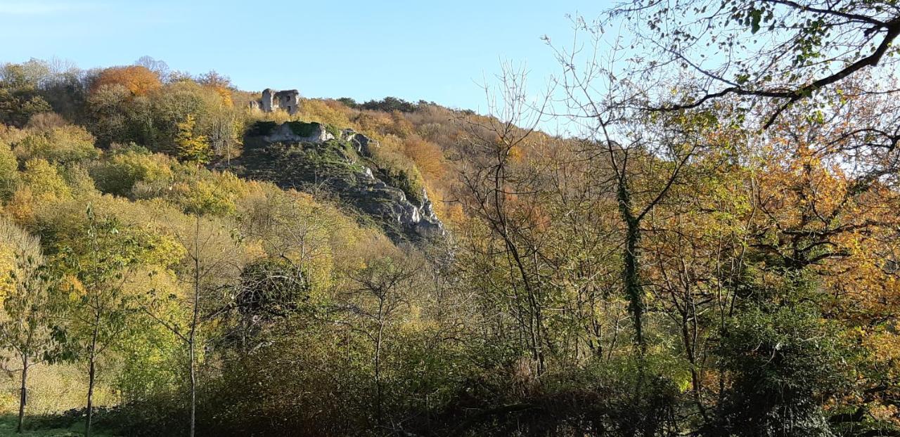 Les Gabelous - Chambre d'hôtes Dourbes Exterior foto